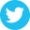 gallery/1435337799_twitter